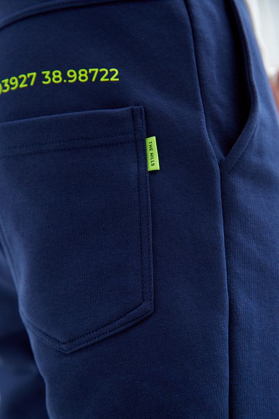 Брюки спортивные The Hills Синий