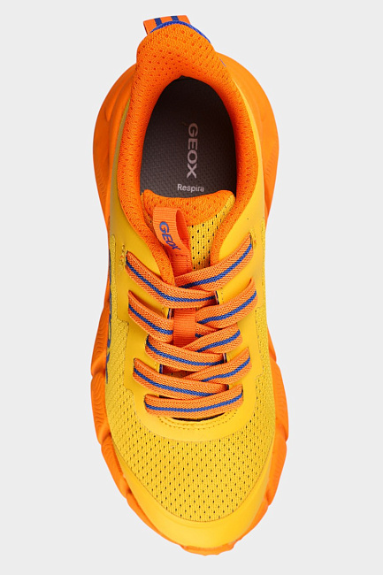 Кроссовки Geox