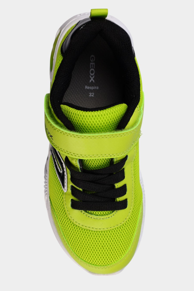 J45DZC014CEC Кроссовки Geox Зеленый