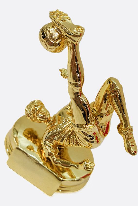 Кубок Van Mich Спорт Золотой