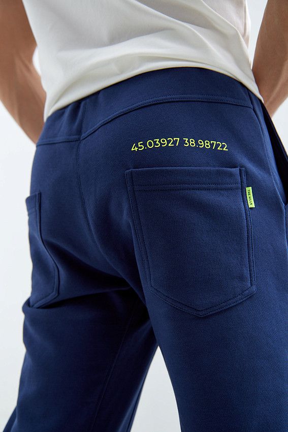 Брюки спортивные The Hills Синий