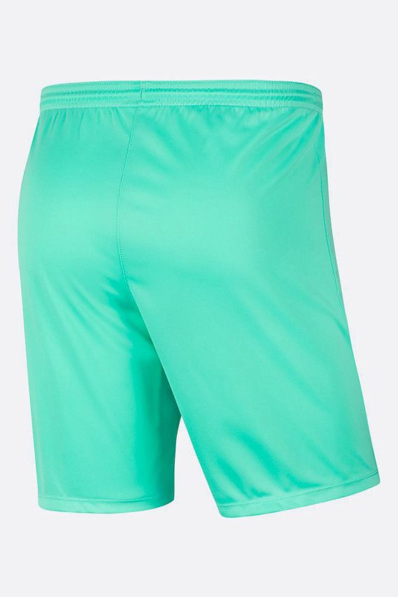 Шорты Nike Бирюзовый