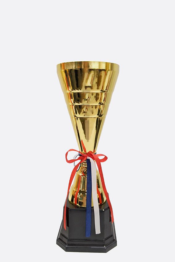 Кубок Van Mich Спорт Золотой