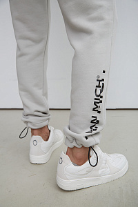 Брюки спортивные Van Mich