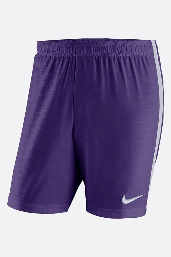 Шорты Nike Фиолетовый