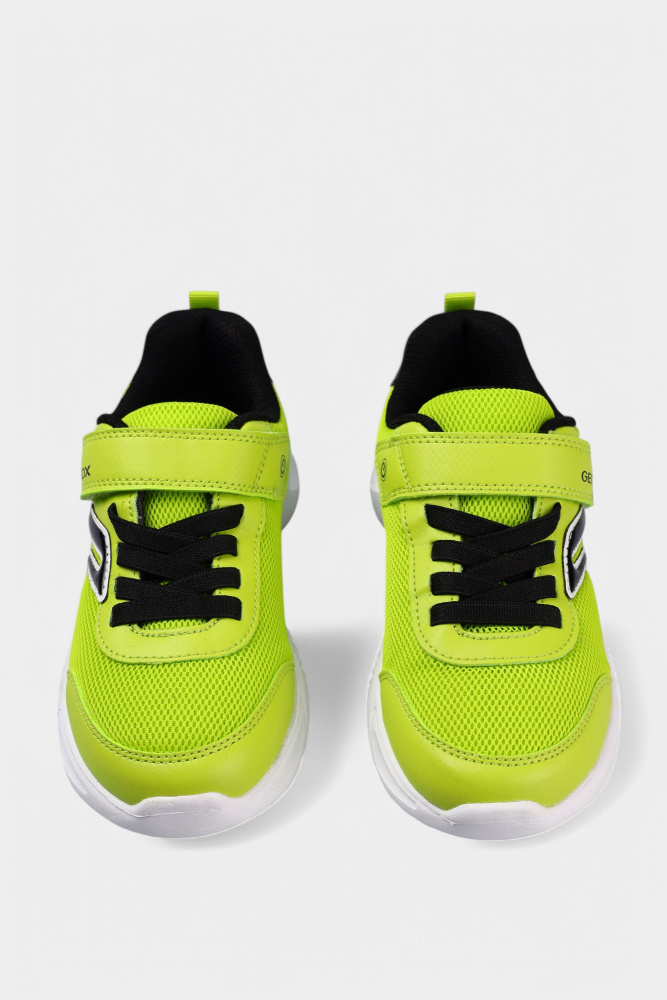 J45DZC014CEC Кроссовки Geox Зеленый