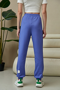 Брюки спортивные The Hills