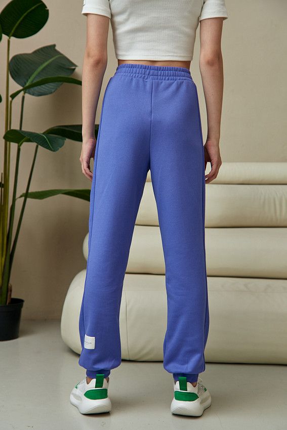 Брюки спортивные The Hills Фиолетовый