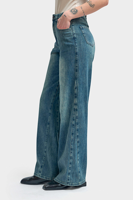 Джинсы The Hills