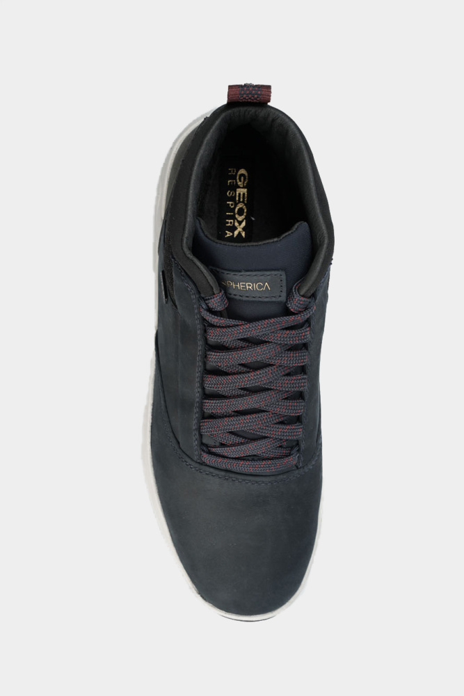 U36FDB0FF6KC Полусапожки Geox Синий