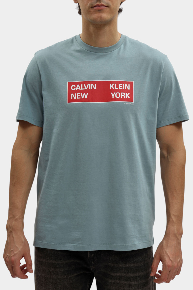 LV04RD816G Футболка Calvin Klein Jeans Голубой