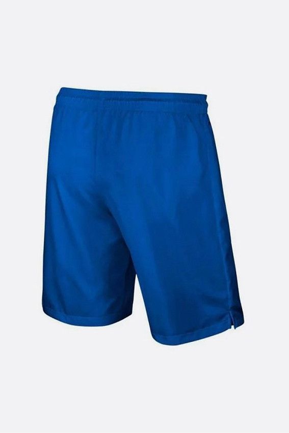 Шорты Nike Голубой