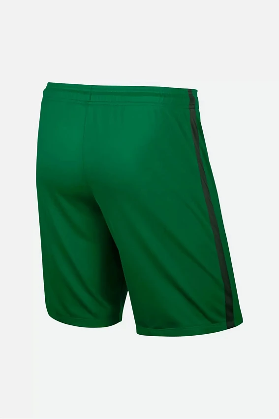 Шорты Nike Зеленый