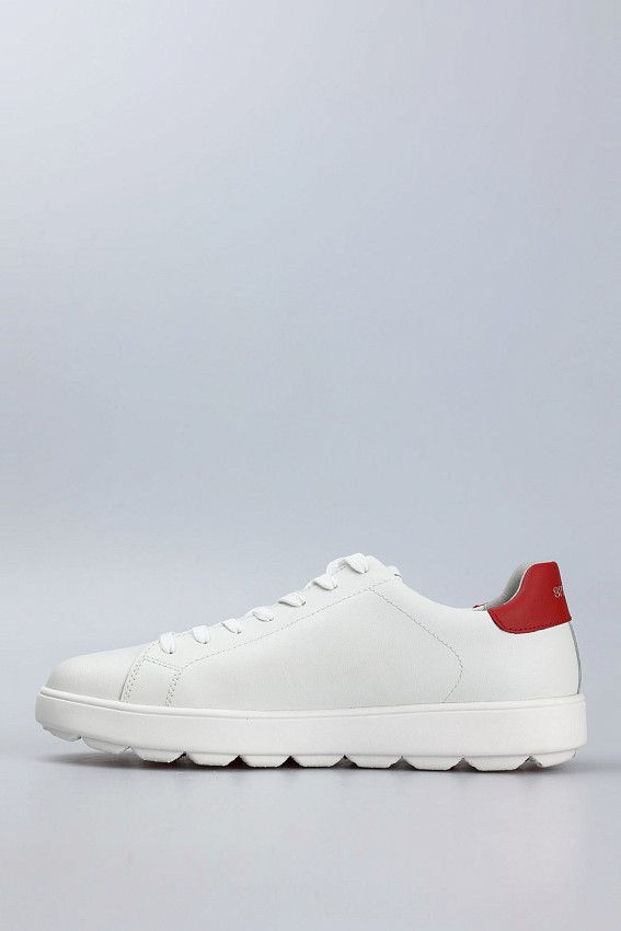 Кеды Geox Белый