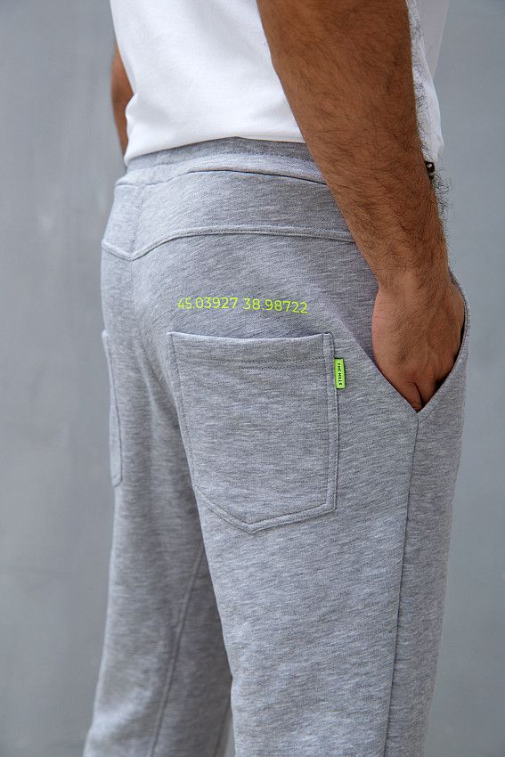 Брюки спортивные The Hills Серый