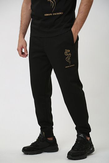 Брюки спортивные Armani Exchange