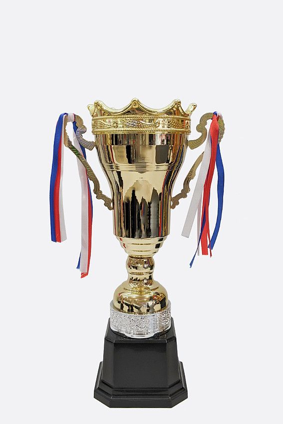 Кубок Van Mich Спорт Золотой