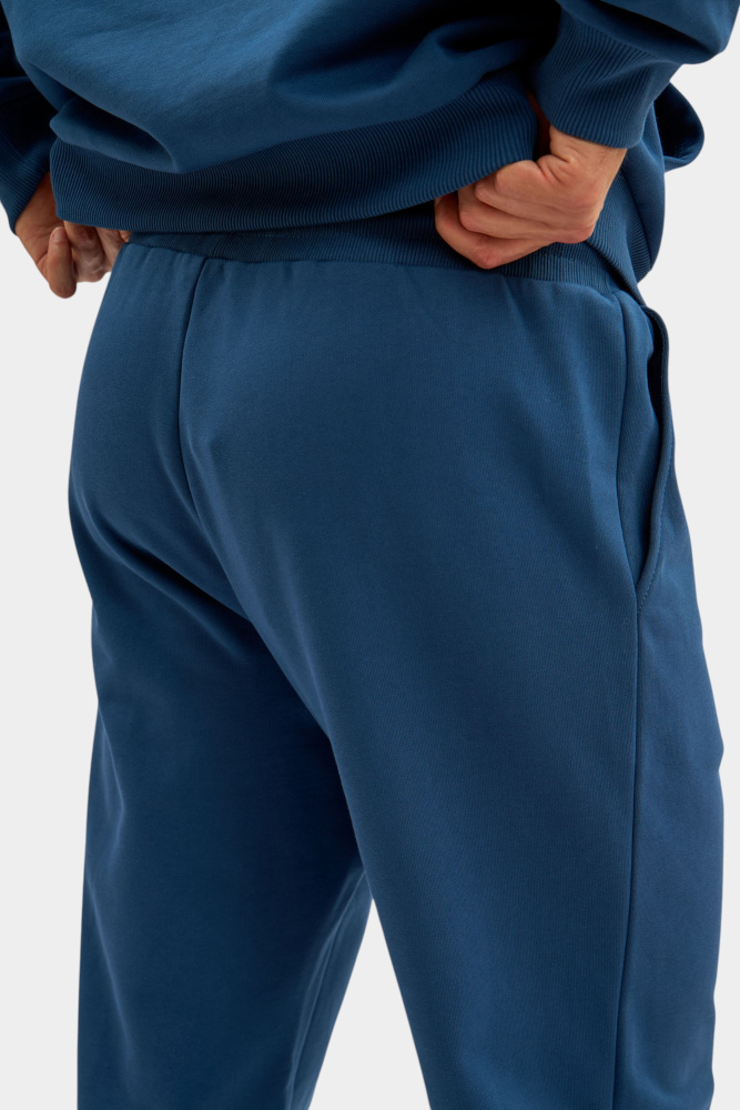 M-252-P-43-0505 Брюки спортивные The Hills Синий