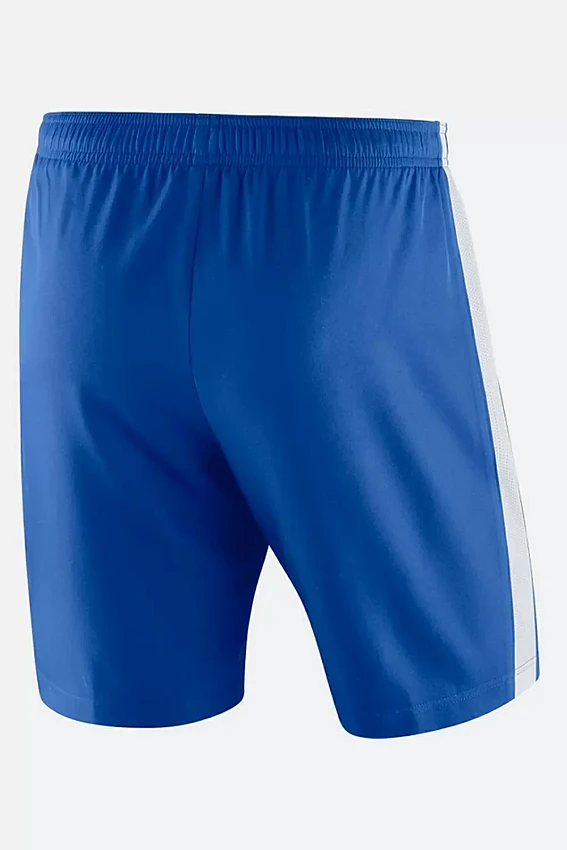 Шорты Nike Синий