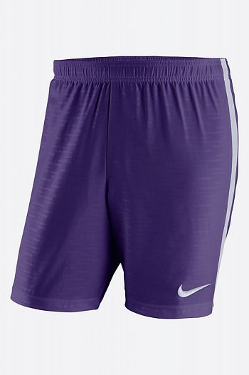 Шорты Nike