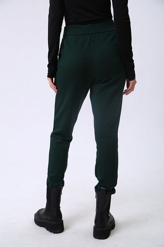 Брюки спортивные Armani Exchange Зеленый