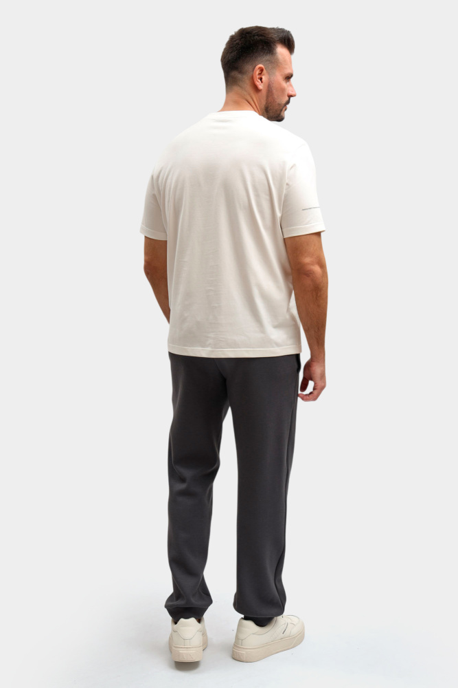 M-261-P-20-1403 Брюки спортивные The Hills Серый