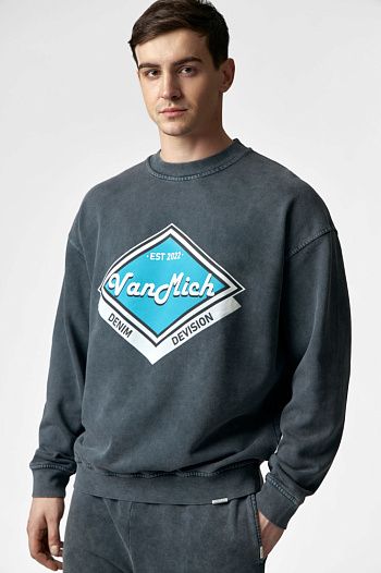 Свитшот Van Mich