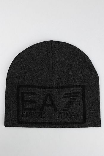 Шапка EA7