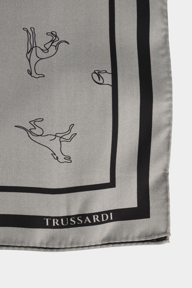 S074C000004N-WVX04T09-21ZA Платок Trussardi Серый