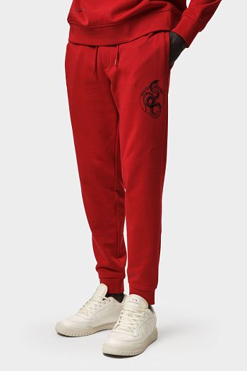 Брюки спортивные Armani Exchange