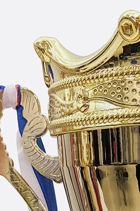 Кубок Van Mich Спорт Золотой