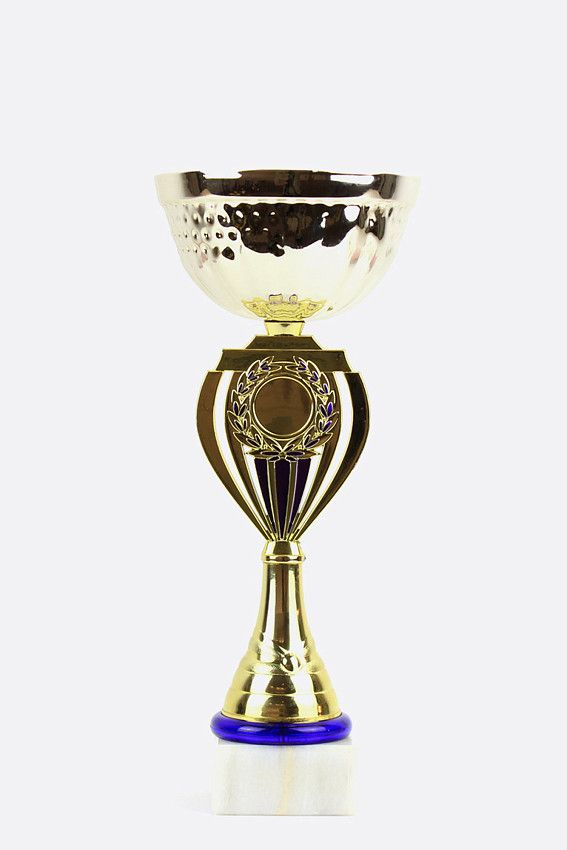 Кубок 28.5 см.