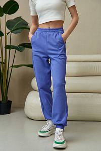 Брюки спортивные The Hills