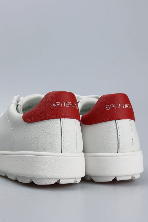 Кеды Geox Белый