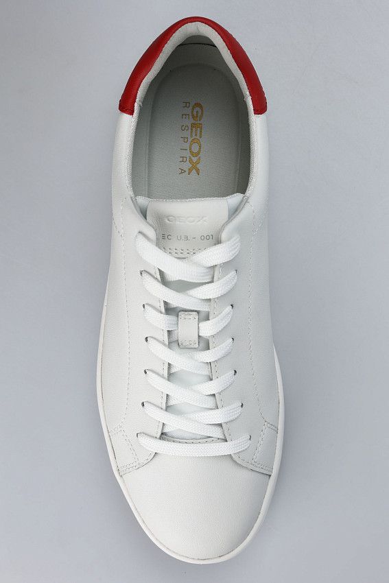 Кеды Geox Белый