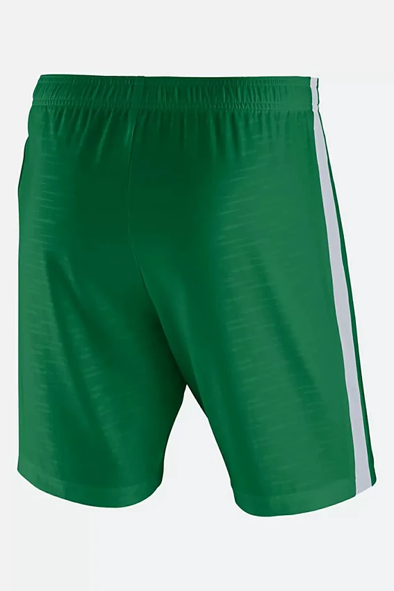 Шорты Nike Зеленый