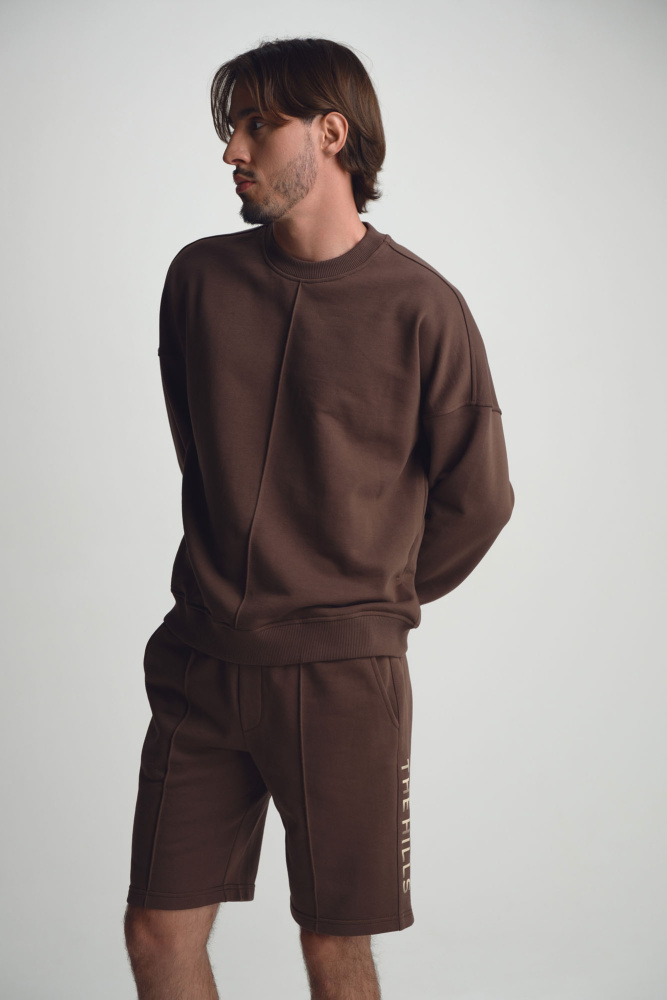 M-252-P-22-0707 Шорты спортивные The Hills Коричневый