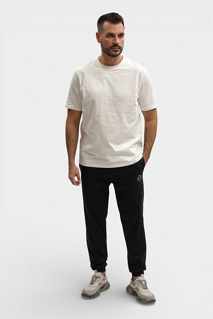 Брюки спортивные Van Mich