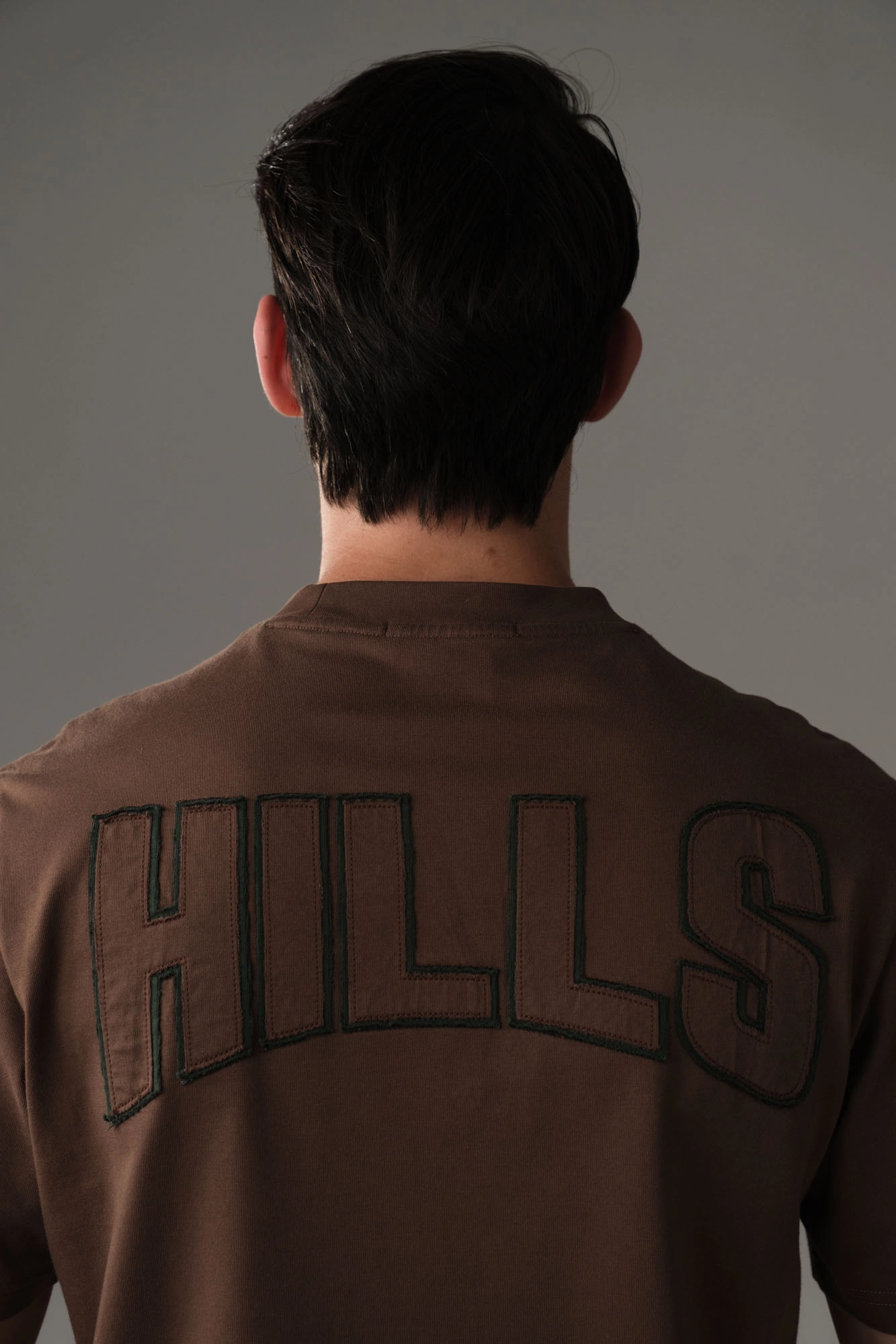 M-251-MA-22-8009 Футболка The Hills Коричневый