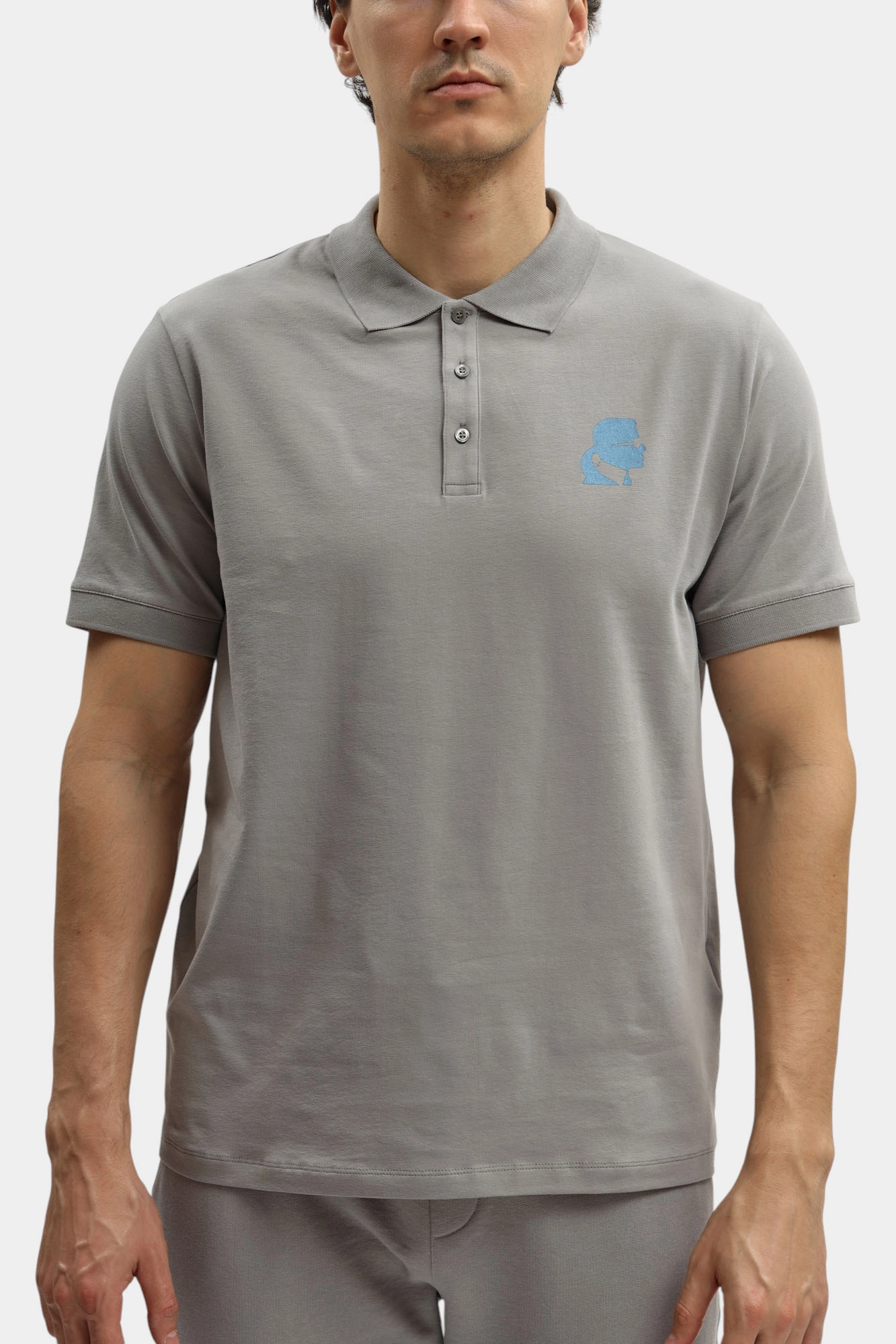 554235_745401 Поло Karl Lagerfeld Серый
