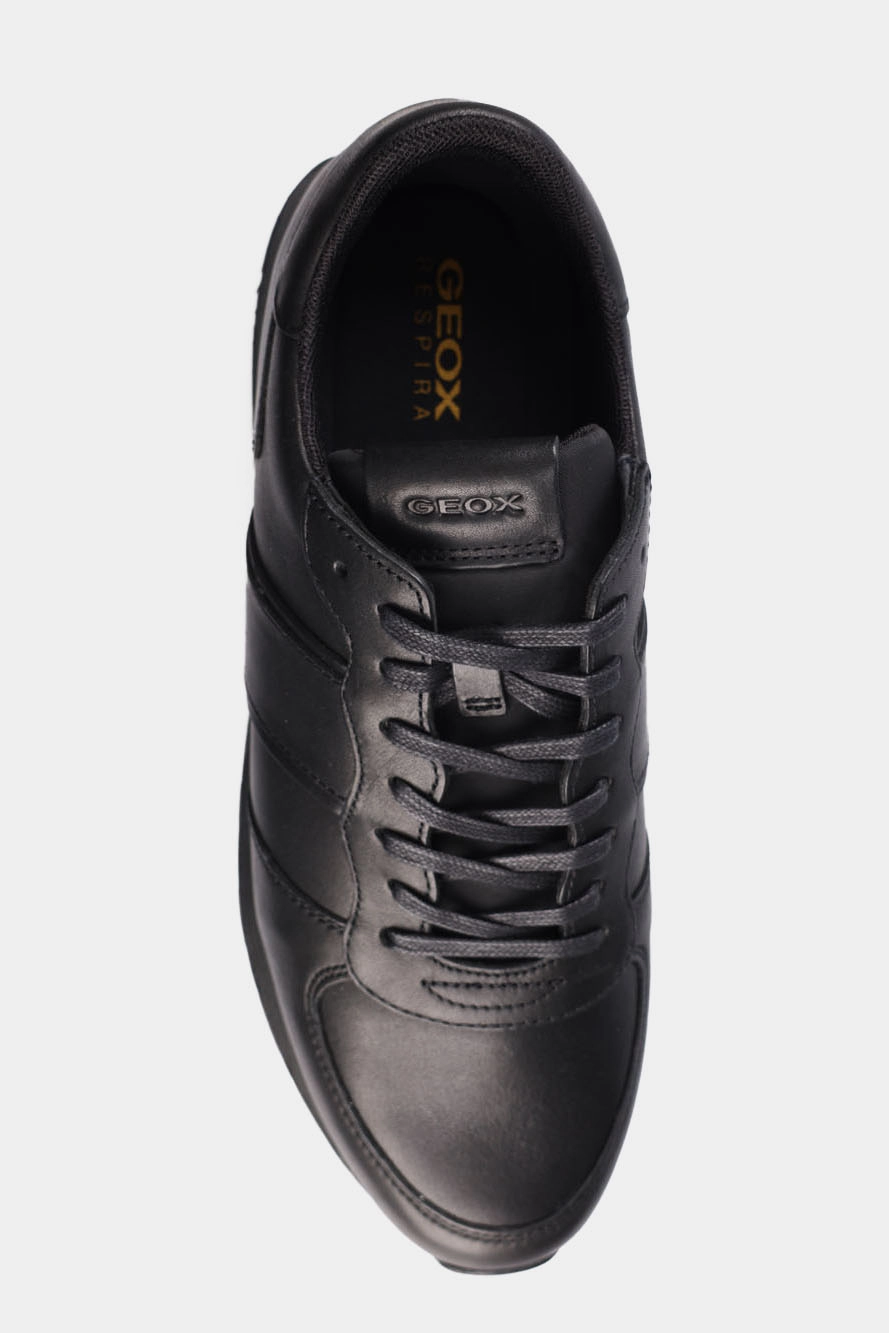 Geox mens on sale