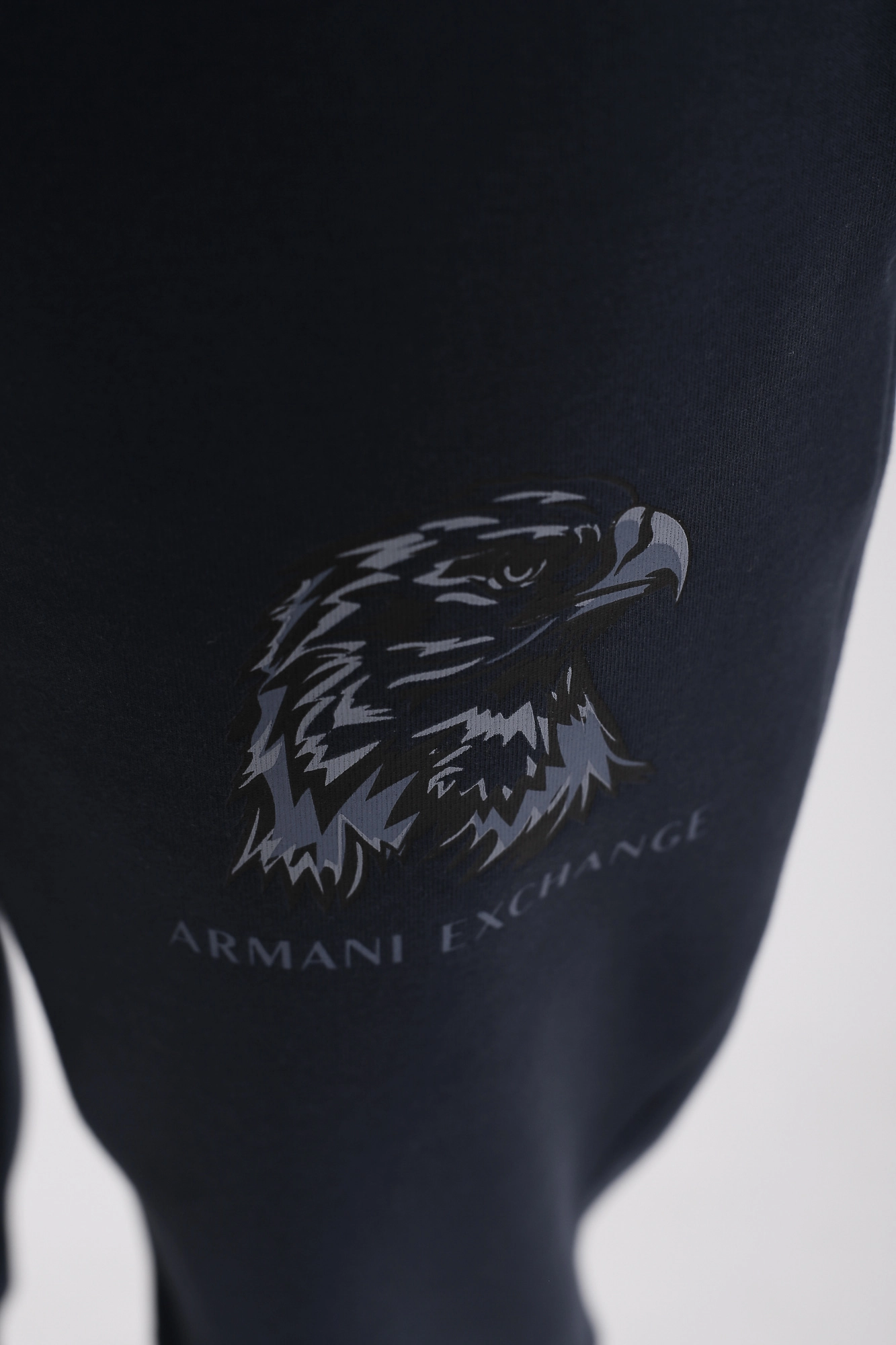 3LZPAQ_ZJ5UZ Брюки спортивные джоггеры Armani Exchange Синий