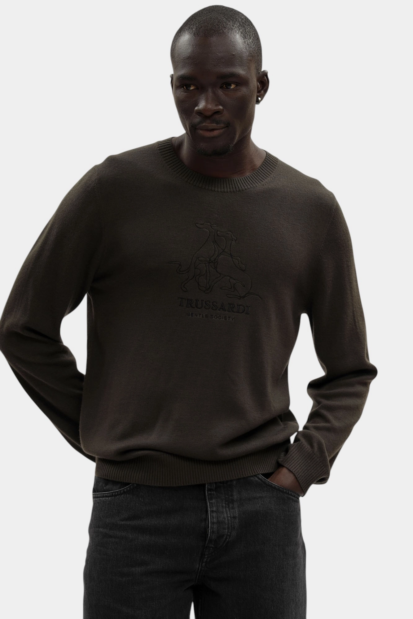 M0348000036N-MK609K03-318M Джемпер Trussardi Коричневый