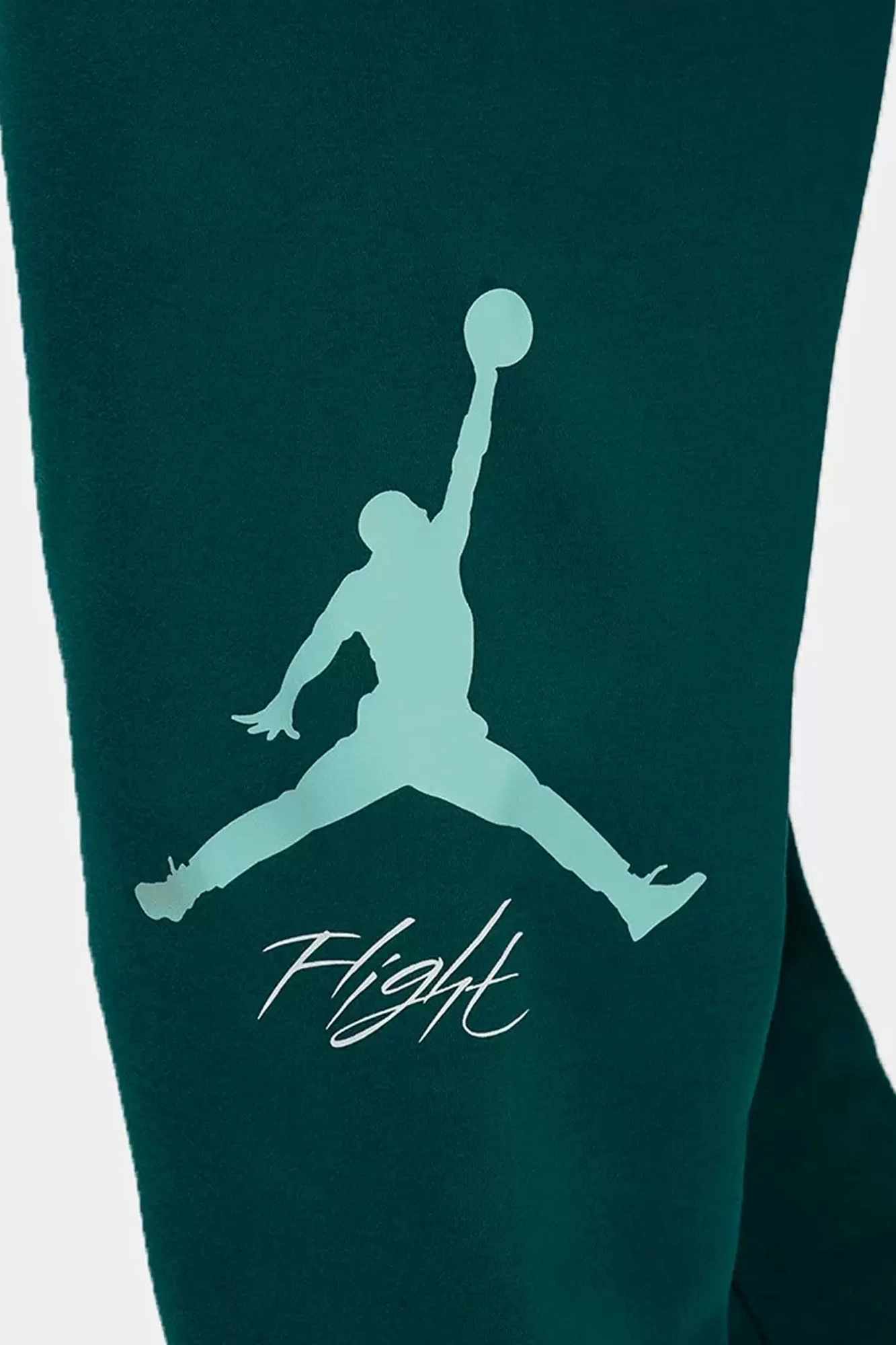 FD7345 Брюки Nike Зеленый