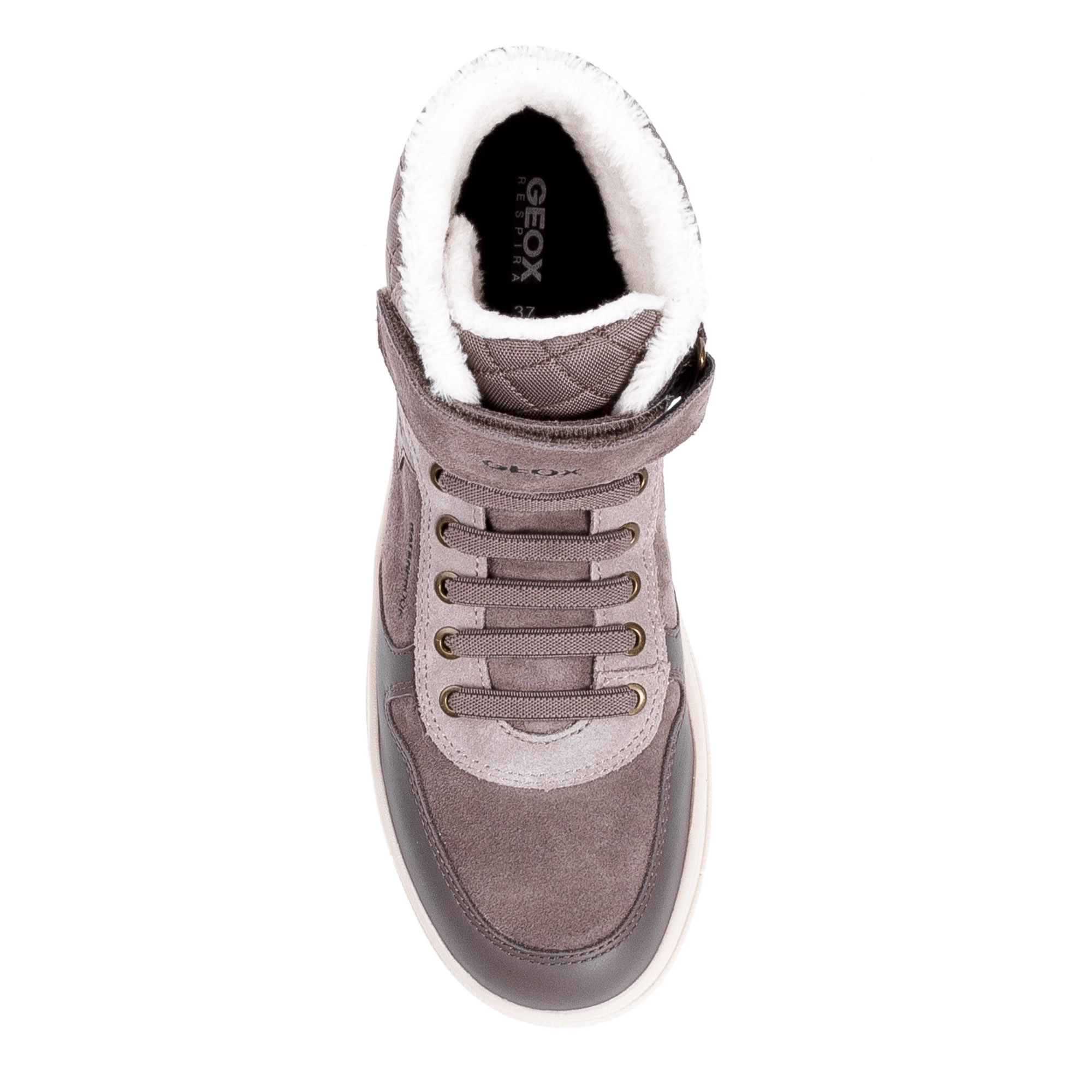 Geox grey 2025
