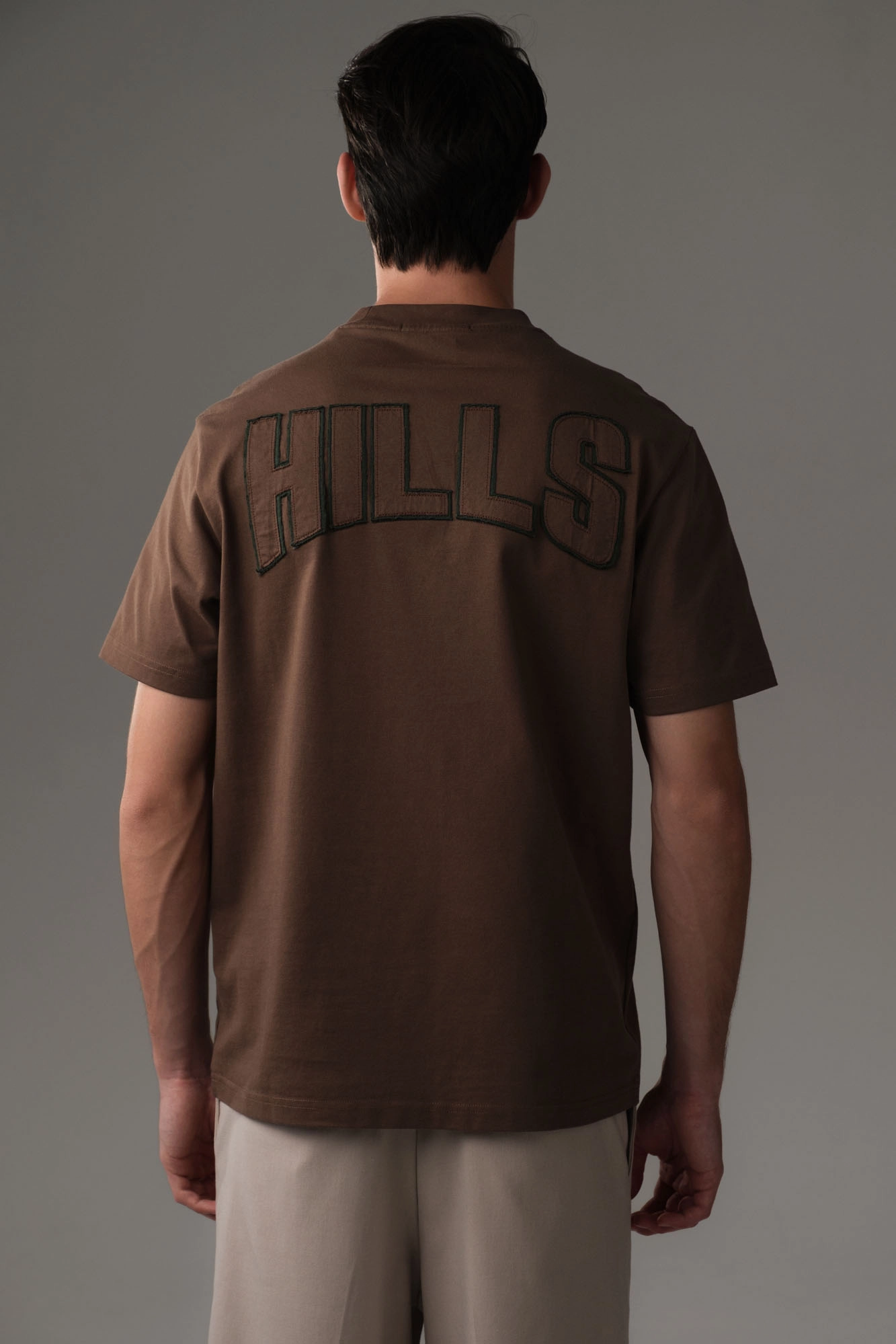 M-251-MA-22-8009 Футболка The Hills Коричневый