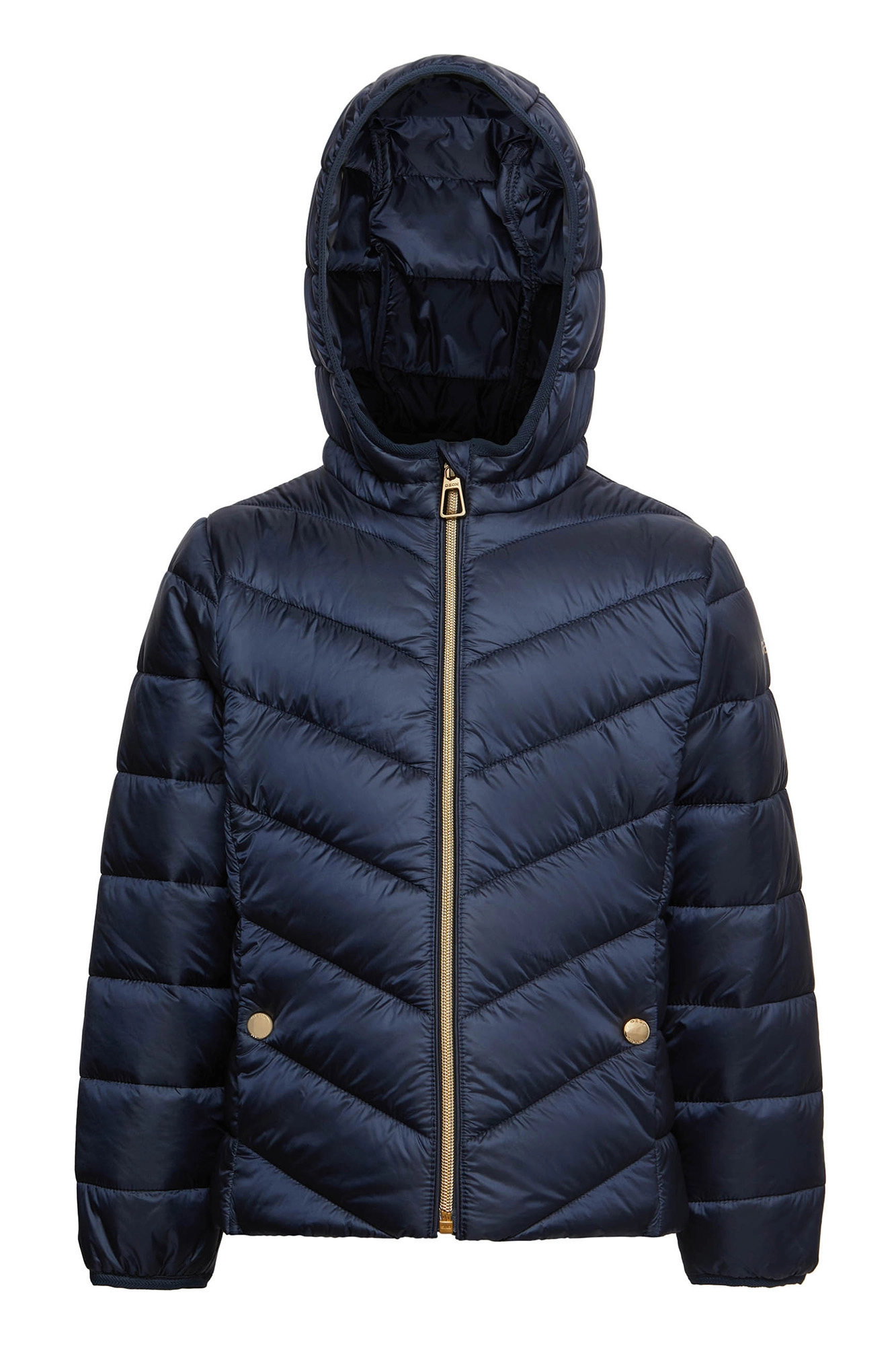 Geox winter jacket store