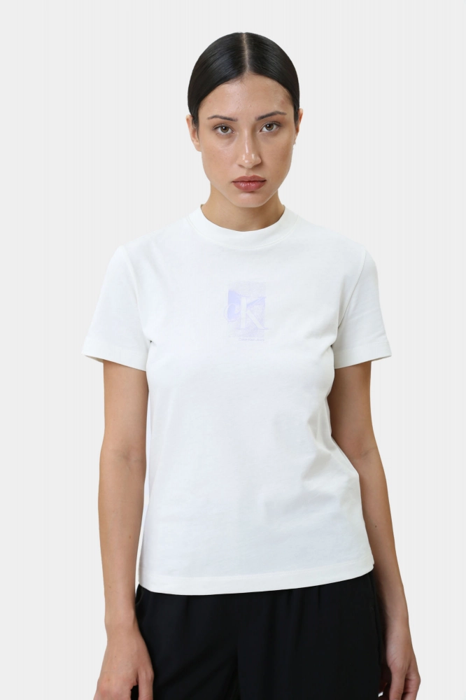 Брюки джинсовые Calvin Klein Jeans Хлопок Серый