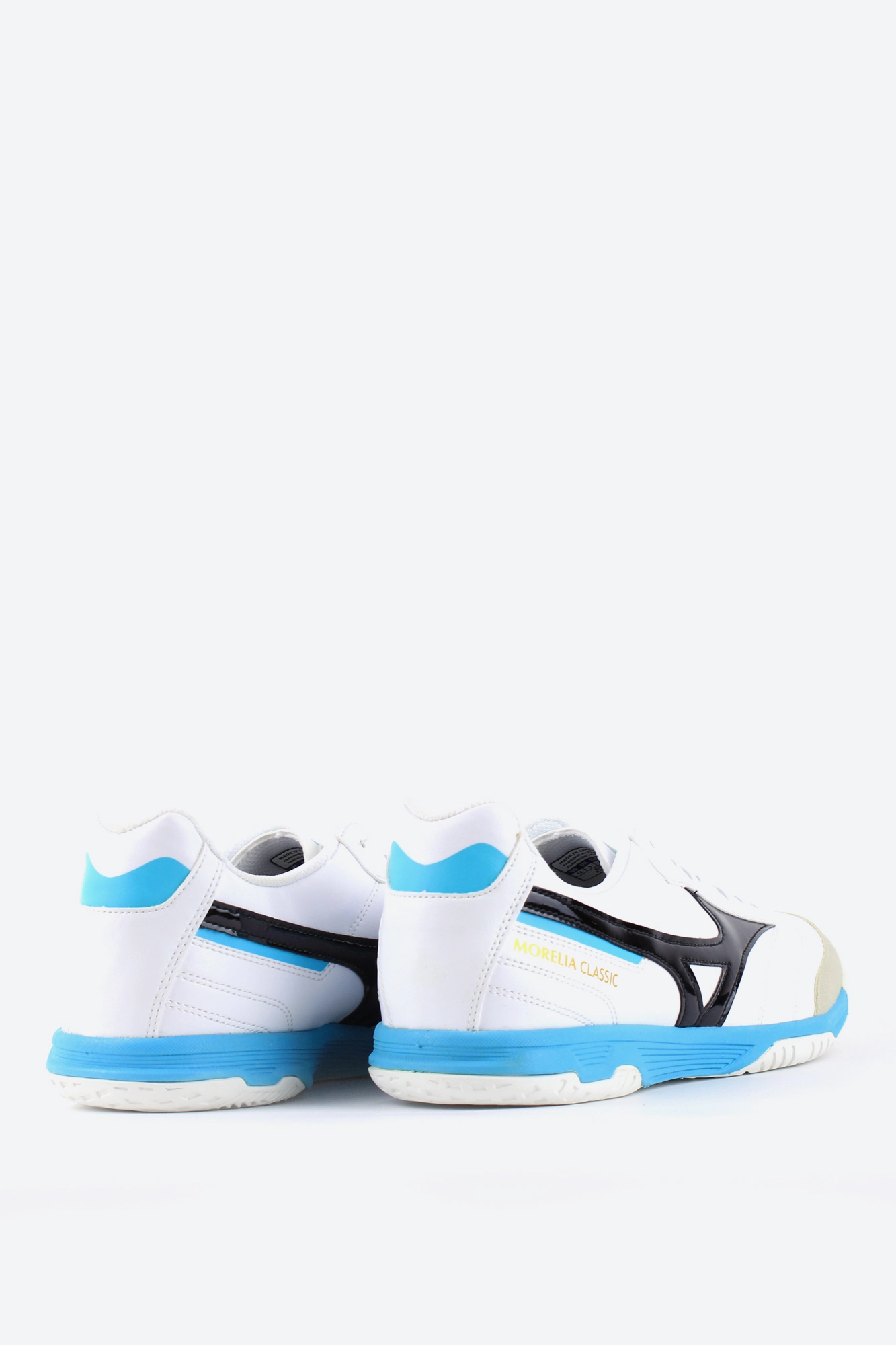 Обувь для зала Mizuno