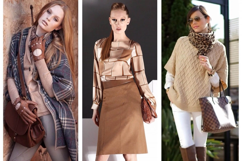 Сочетание цветов в одежде: коричневый